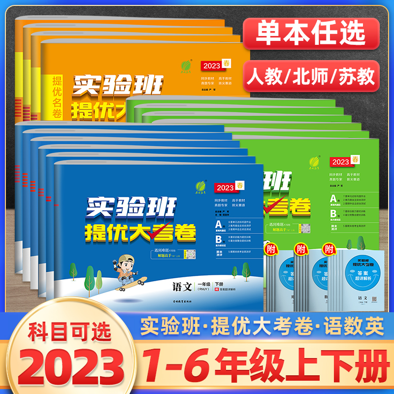 《实验班提优大考卷》（年级任选）同步测试卷春雨