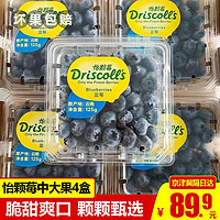 寻天果蔬 云南怡颗莓蓝莓当季限量中大果4盒125g/盒 孕妇宝宝生鲜水果