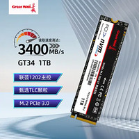 Great Wall 长城 GT34 M.2接口固态硬盘 1TB PCle 3.0