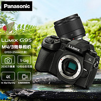 Panasonic 松下 G95D微单/无反/数码相机 Vlog视频拍摄 触屏翻转屏 五轴防抖 G95D+25mm 1.7 套装