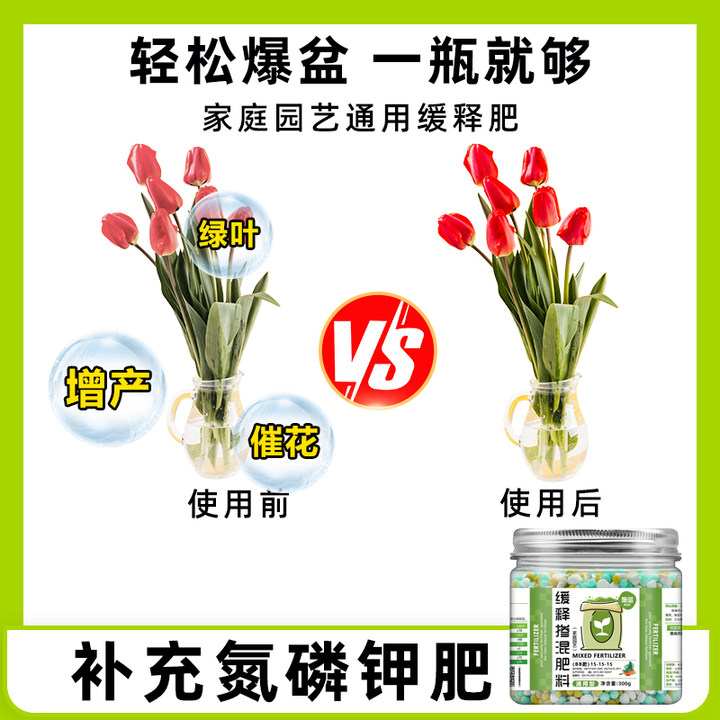 SHIZI 施滋 复合颗粒缓释肥（肥效可达90天）300g*2