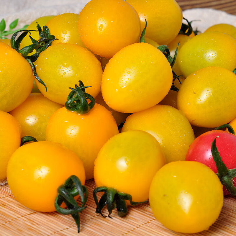 乡语小吖黄色小番茄 1斤 黄姑娘小柿子番茄西红柿 新鲜水果 京东生鲜