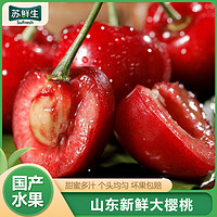 [苏鲜生]山东新鲜大樱桃 净重4.5斤 小果 新鲜水果大樱桃 酸甜可口