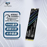 TOPMORE 达墨 Gemini双子座 NVMe M.2固态硬盘 2TB（PCIe 4.0）