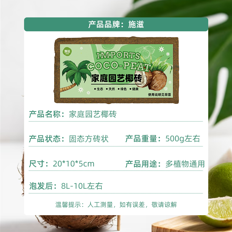 SHIZI 施滋 椰砖砖块 500g*2