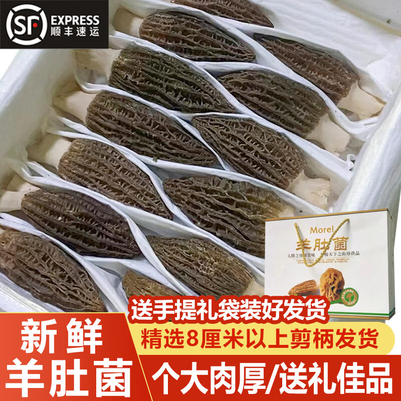青樱红荔羊肚菌新鲜送礼云南新鲜的羊肚菌野生鲜货菌菇特级礼盒装顺丰 新鲜特级剪柄8厘米以上 750g