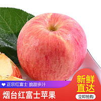 古寨山 正宗烟台红富士苹果水果脆甜多汁一级 新鲜当季 75-85果径 4.5斤普通装