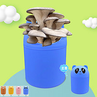 嗨绿蘑菇菌包种植桶装平菇卡通菌棒可食用亲子儿童益智玩具家庭盆栽 平菇 棕色
