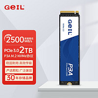 GeIL 金邦 P3A NVMe M.2固态硬盘 2TB（PCIe 3.0）