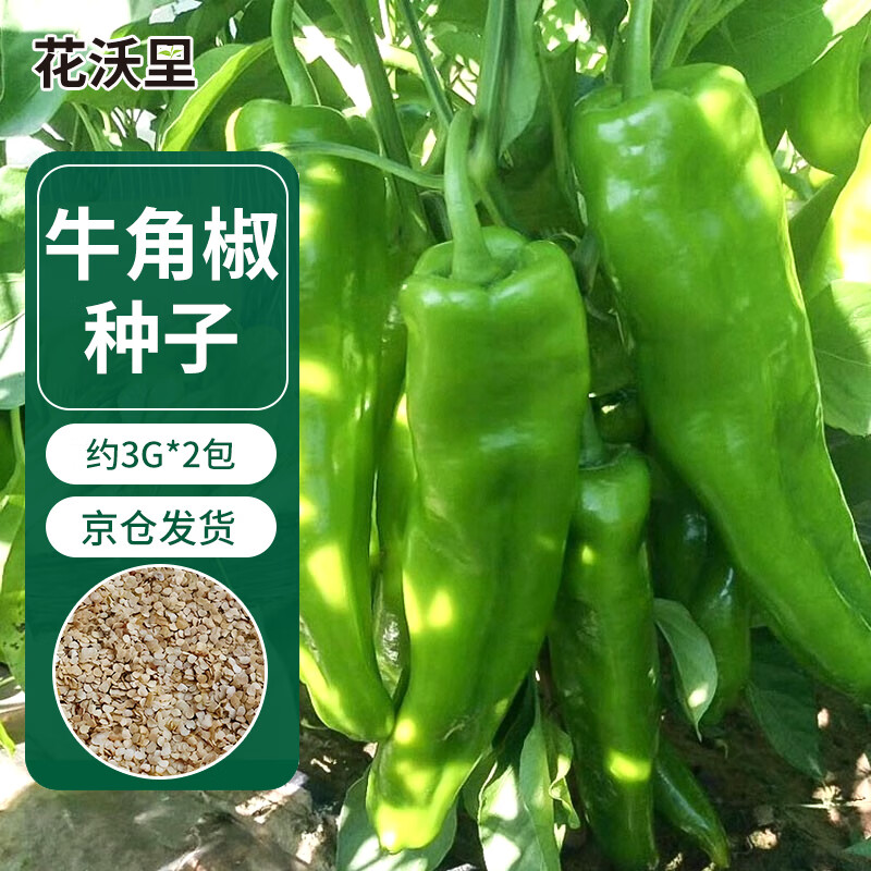 花沃里牛角椒种子3g*2包 蔬菜种子家庭盆栽阳台办公庭院田间种植菜籽