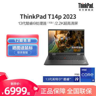 ThinkPad T14p 轻薄 笔记本电脑
