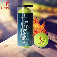 ENPEX 乐士 网球高弹耐磨比赛训练用网球塑通三粒A16