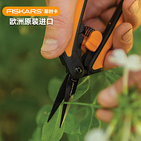 FISKARS 欧洲进口直头剪茎叶园艺工具植物盆栽花艺果树绿植剪子剪刀SP131