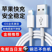 NIUBA 紐霸 蘋果充電器線 1條裝