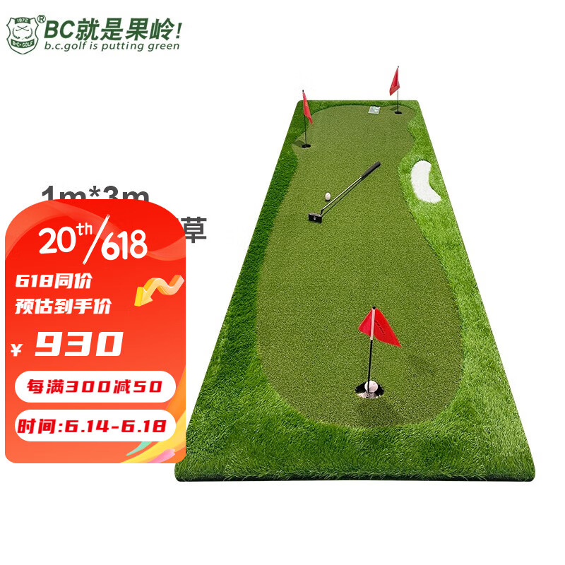 B.C.GOLF高尔夫推杆练习器 高尔夫练习室内高尔夫家用办公室高尔夫练习毯 1m*3m技术款比赛草
