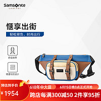 新秀丽（Samsonite）/LUCIA2022新款腰包单肩包时尚撞色男女斜挎包TM7 深卡其布色