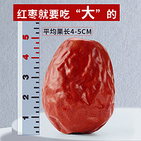 语味红枣和田大枣品质骏枣3斤整箱休闲零食新疆特产新疆红枣500g