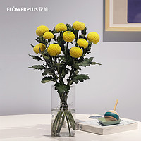 FlowerPlus 花加 简花花束生活鲜花鲜花月订1个月4束周六收花