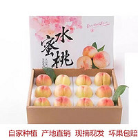 阳山 水蜜桃  8个礼盒装 (单果4-5左右)