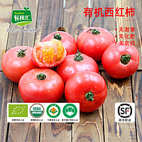 有机汇 有机西红柿 大番茄  1.5kg（3斤）