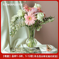 FlowerPlus 花加 唯夏花束包月包年鲜花每周一花随花赠花瓶香氛 1个月（每周1束，共4次配送） 周末收花（2个月及以上订单赠花瓶香氛）