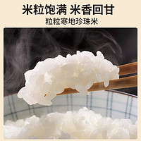 润香粮品 珍珠米东北大米5kg新米饭粥米圆粒香米农家一级粳米新鲜大米10斤