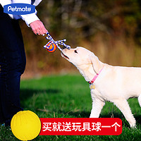 Petmate 狗狗玩具金毛拉布拉多边牧大型犬耐咬互动游泳拉拽狗玩具
