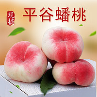 绿养道北京平谷蟠桃5斤/1斤扁桃子鲜桃水蜜桃新鲜水果10