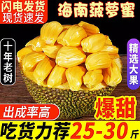 好媛好宇海南菠萝蜜新鲜水果 黄肉波罗菠萝蜜 榴莲蜜 新鲜水果 15-20斤