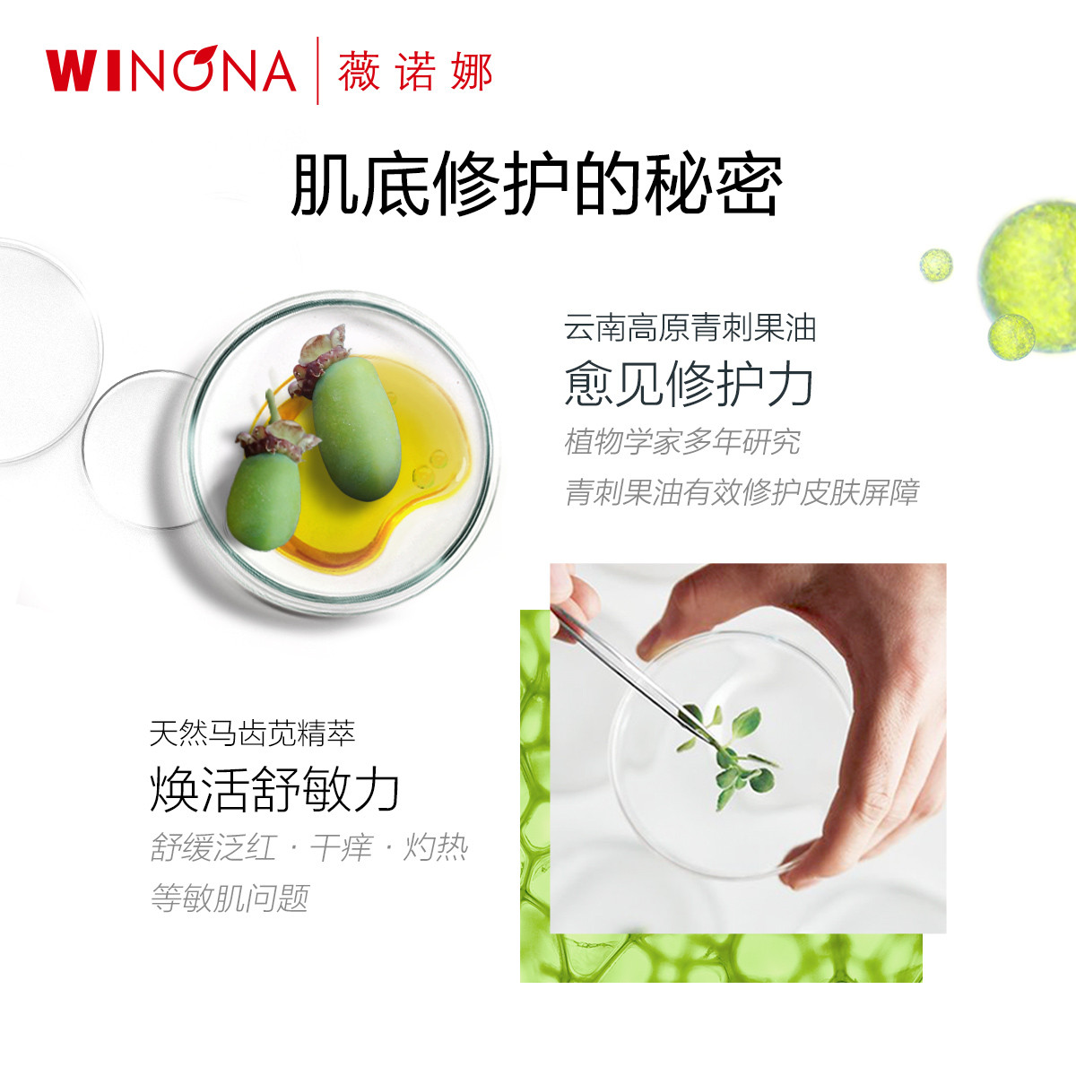 WINONA 薇诺娜 舒护喷雾150ml*3+舒护喷雾50ml