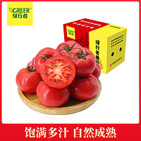 桃太郎特价粉番茄生吃西红柿新鲜自然熟沙瓤番茄