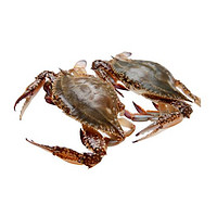 RT-Mart 大润发 鲜活)梭子蟹海蟹螃蟹海鲜飞蟹 150-250克/只