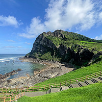 濟州島最經典線路！摘橘子看果凍海，不加價！濟州島東線牛島一日游（含濟州島內全程用車）