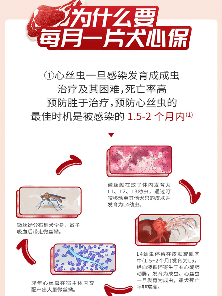 Heartgard 犬心保 美国进口犬心保狗狗驱虫药牛肉味比熊泰迪幼犬成犬心丝虫驱虫药