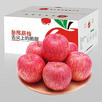自然搭档 洛川红富士苹果 净重5斤一级大果85-90mm