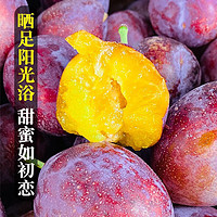 水果 正宗新疆喀什法兰西西梅3斤大果新鲜水果李子鲜果包邮单果18克起