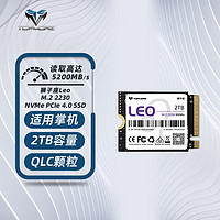 TOPMORE达墨 LEO 2T 2230 NVME QLC颗粒  PCIE4.0 5100MB/s 2TB