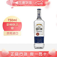 唐胡里奥（DON JULIO）原装进口洋酒 墨西哥 豪帅龙舌兰酒 调酒 六大基酒特基拉酒 烈酒 银750ml*1