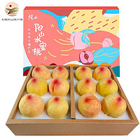 阳山 无锡阳山水蜜桃礼盒装 送礼新鲜桃子 时令新鲜水果 12个装 6-7两果