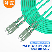 LIJIA 礼嘉 万兆多模双芯光纤跳线 OM3电信级 SC-SC 1米 收发器尾纤连接线 耐弯曲 3.0线径 LJ-W1201