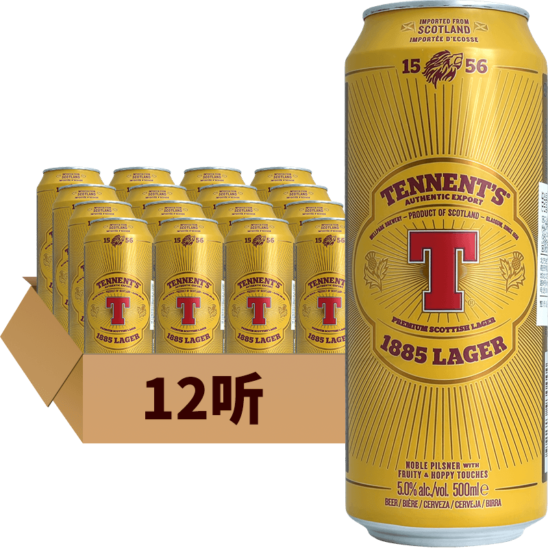 替牌（临期啤酒）啤酒 英国 货（23年10月到期） 替牌听装500ml*12瓶