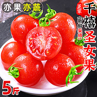 千禧圣女果5斤新鲜水果西红柿子特甜樱桃小番茄种籽蔬菜整箱3