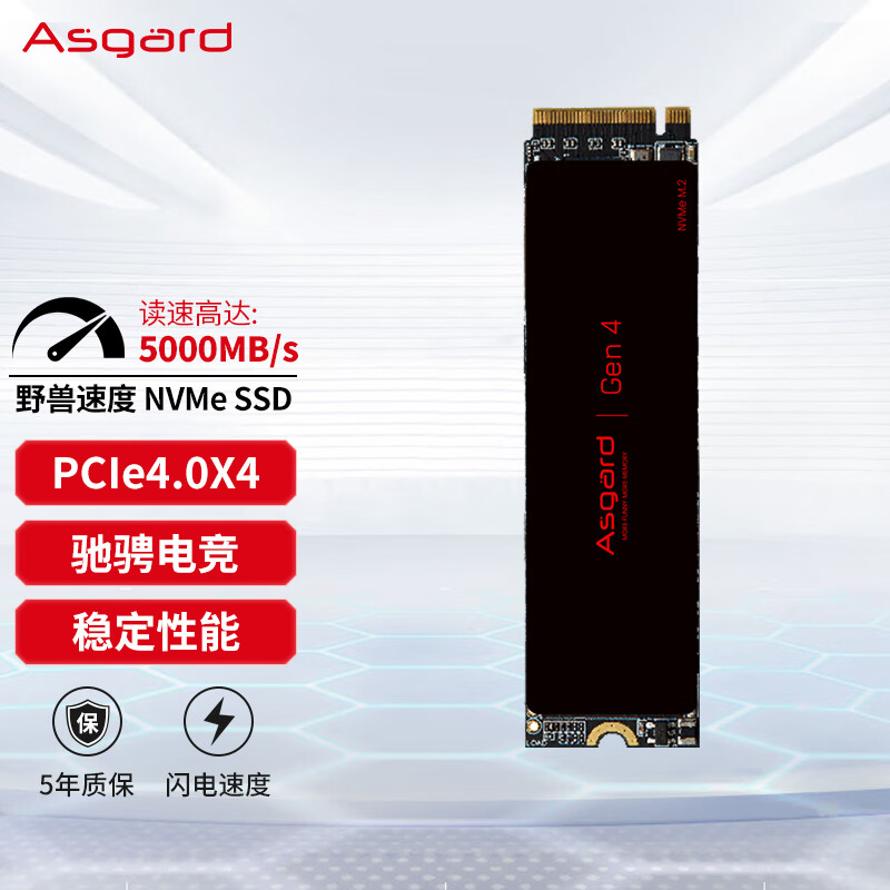 Asgard 阿斯加特 Lite 2TB SSD固态硬盘 M.2接口(NVMe协议) PCIe 4.0 读速高达5000MB/s