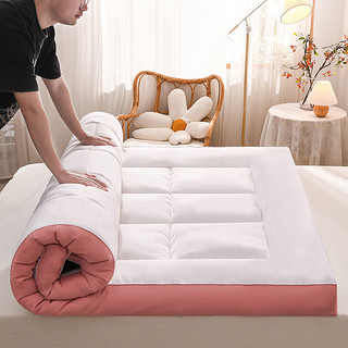 琳豆豆大豆纤维床垫床垫软垫家用褥子垫被学生宿舍单人租房地铺睡垫 立体床垫-白+粉 150*200cm8cm