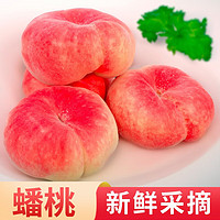 绿养道 北京平谷蟠桃子5斤净重 单果75g起 新鲜水果 鲜桃大桃