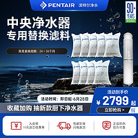 PENTAIR 滨特尔 中央净水器替换滤料全屋净水滤芯KDF活性炭石英砂