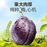 BESTORE 良品铺子 加州西梅 150g 25-30包