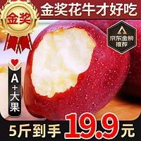 华味仙 甘肃天水花牛新苹果新鲜水果粉面国产红果时令平安果 5斤实惠装 单果70mm起