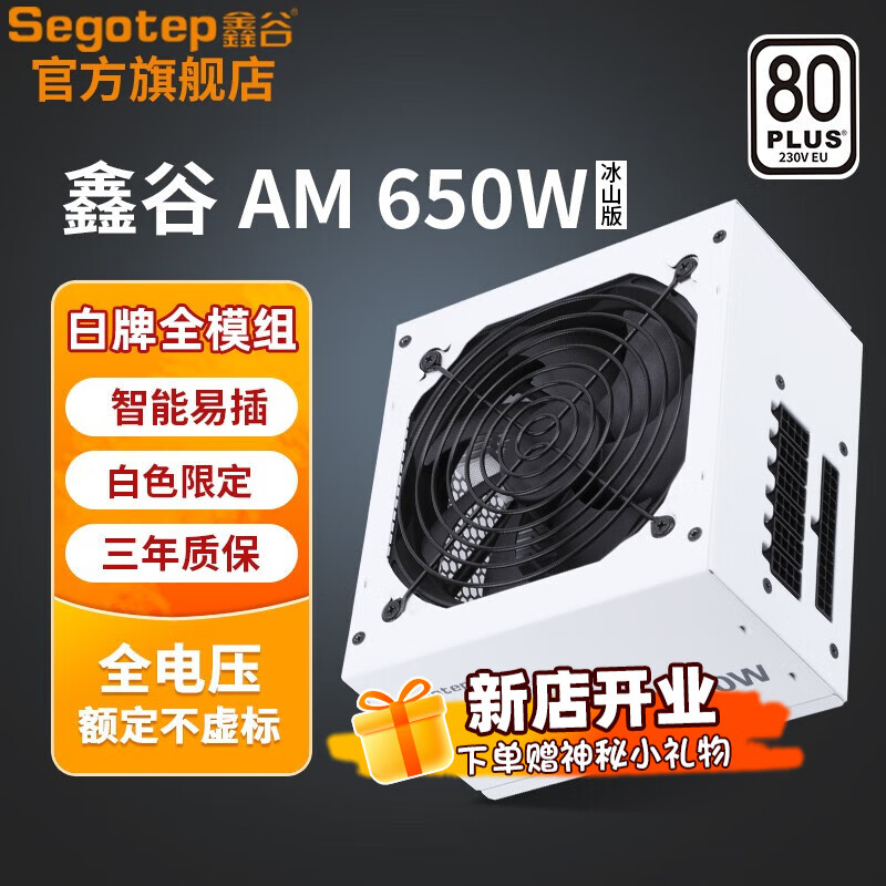 Segotep 鑫谷 ATX电源 白牌全模AM650W冰山版