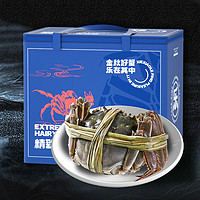 渔户之农鲜活大闸蟹螃蟹公4两母3两8只生鲜海鲜礼盒
